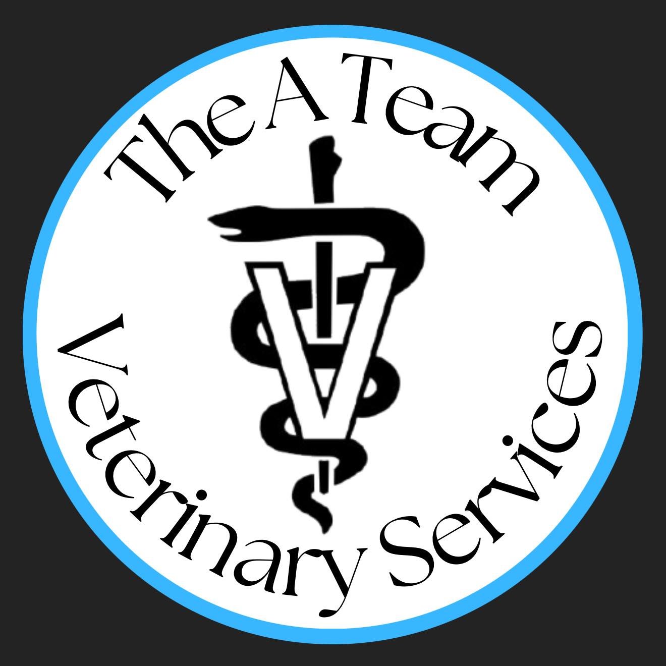 The A Team Veterinary Care